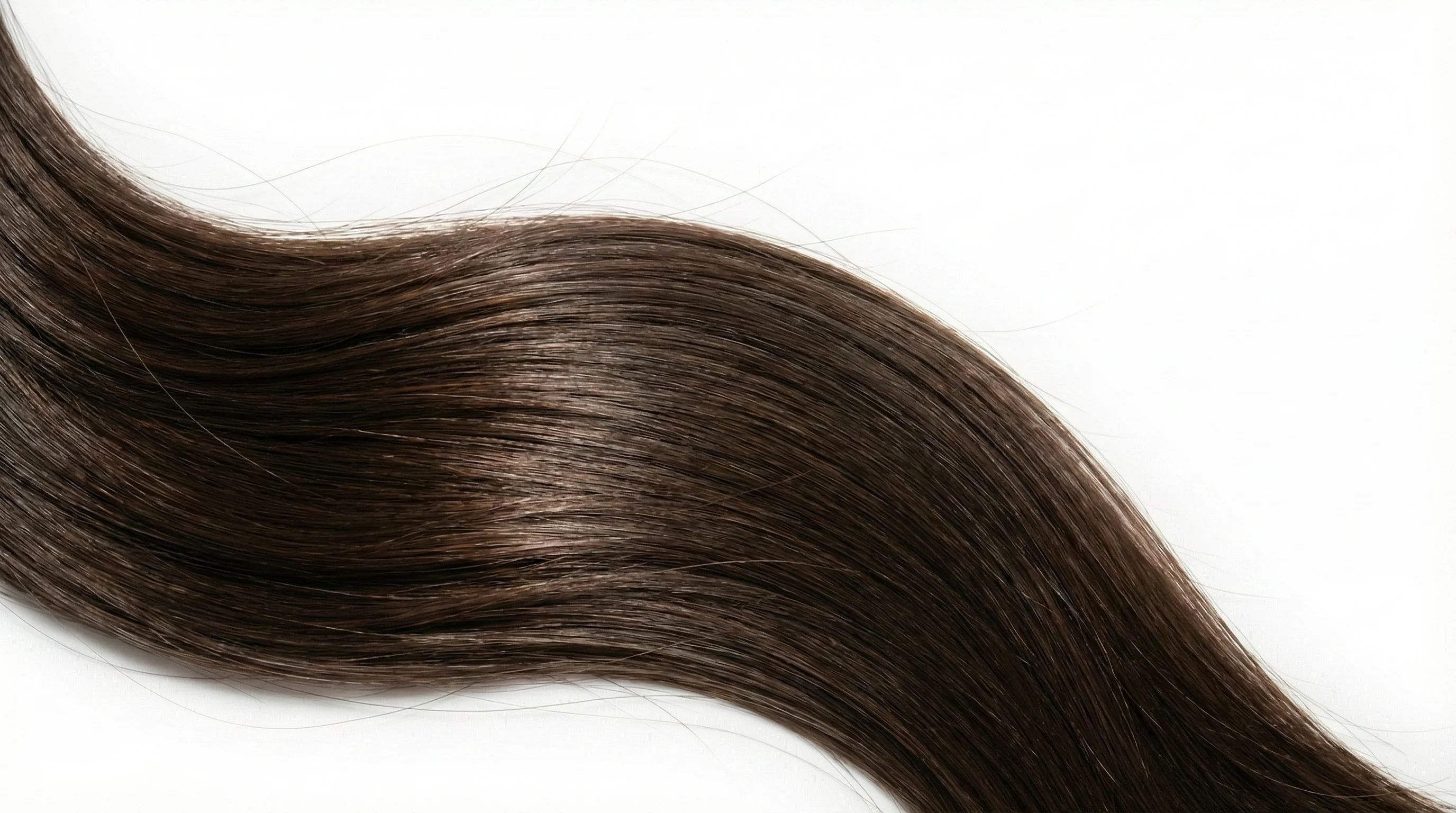 Plant-Based Scalp Serum: Natural Ingredients That Actually Work